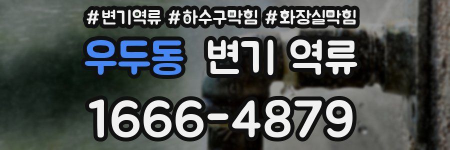 우두동 변기 역류