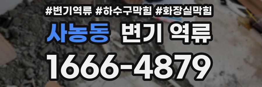 사농동 변기 역류