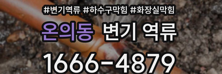 온의동 변기 역류