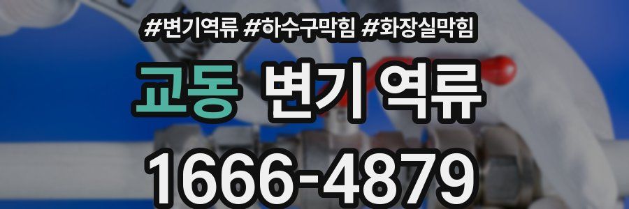 교동 변기 역류