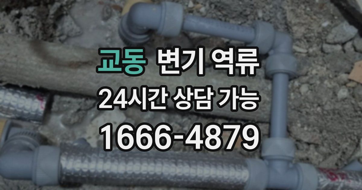 교동 변기 역류