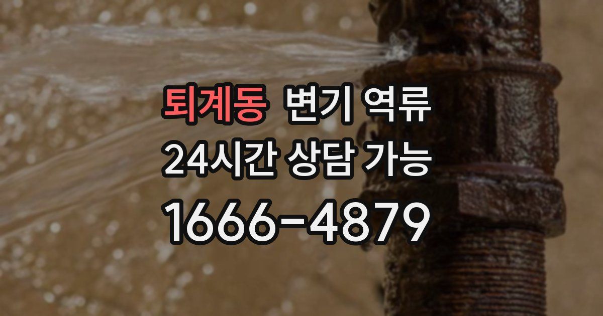 퇴계동 변기 역류