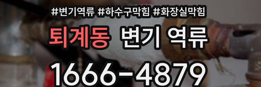 퇴계동 변기 역류