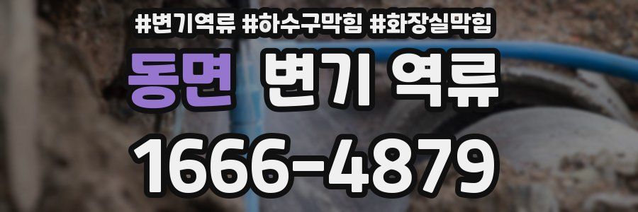 동면 변기 역류