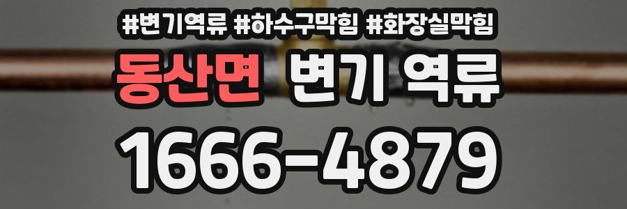 동산면 변기 역류