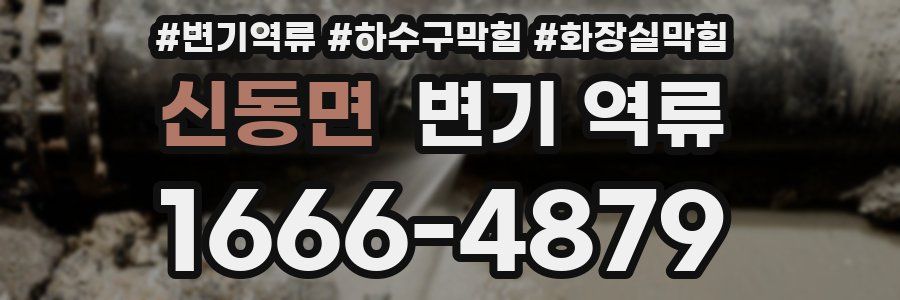 신동면 변기 역류
