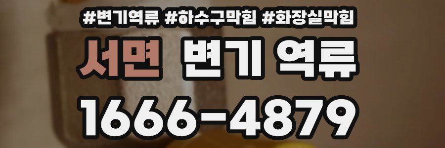 서면 변기 역류