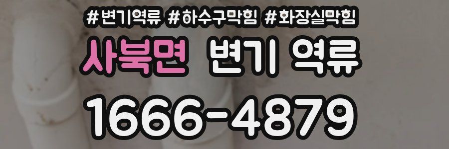 사북면 변기 역류