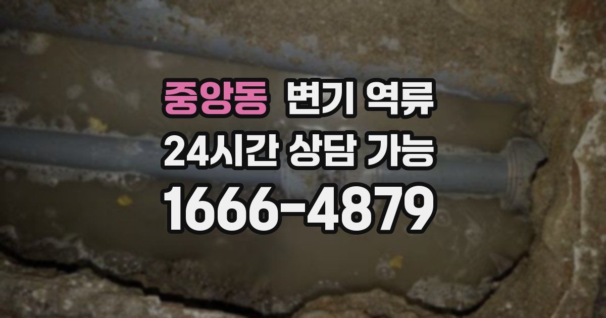 중앙동 변기 역류