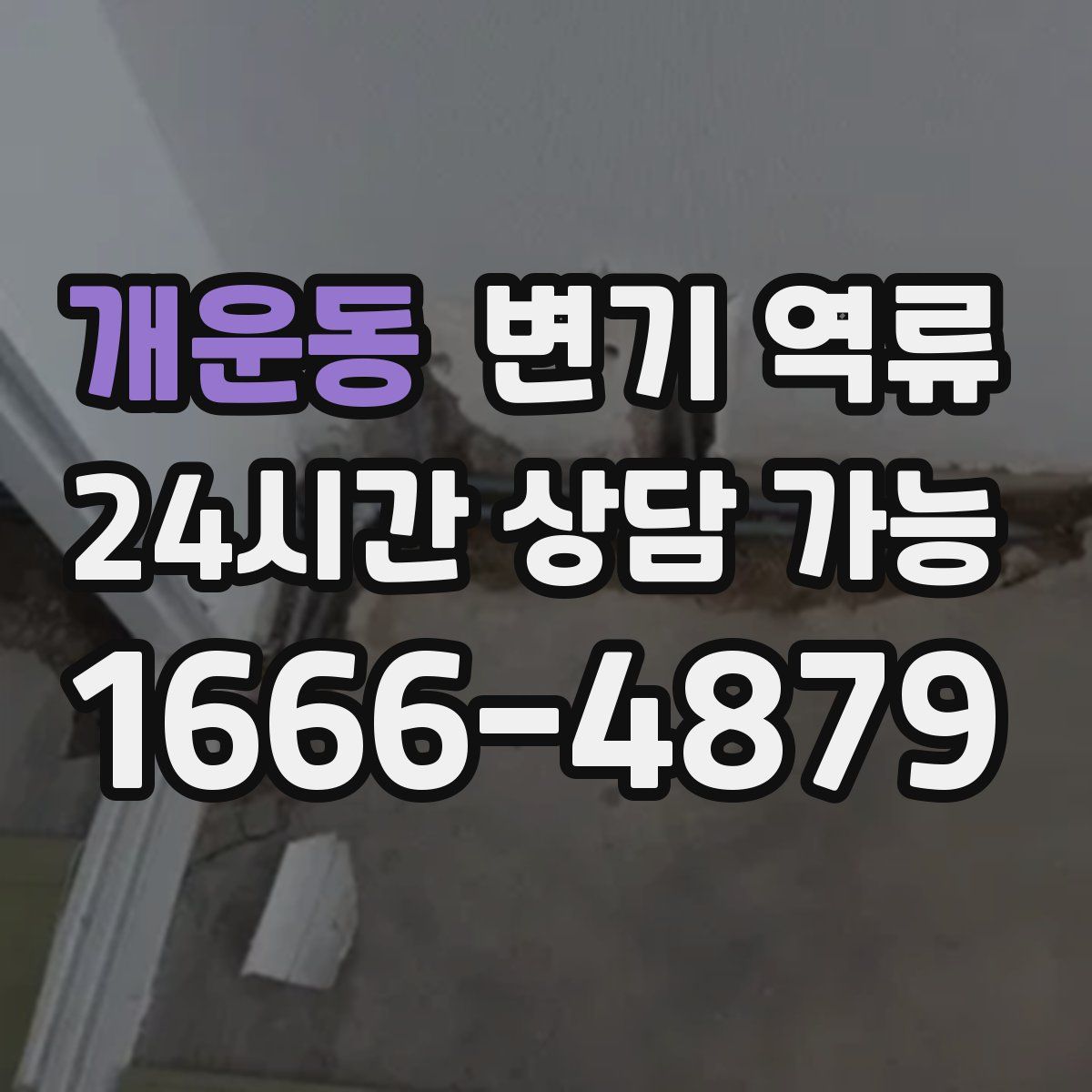 개운동 변기 역류