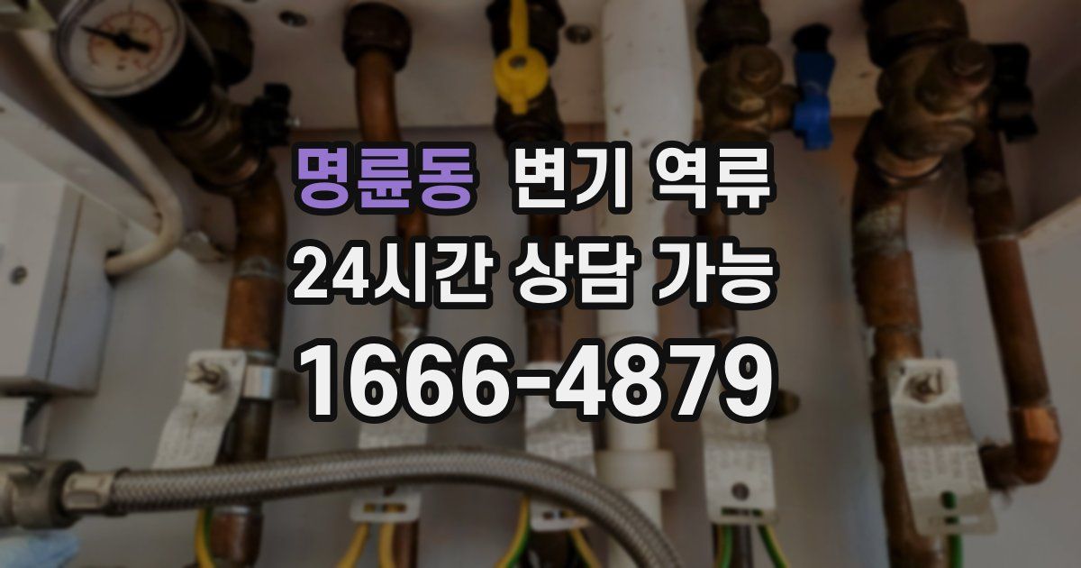 명륜동 변기 역류