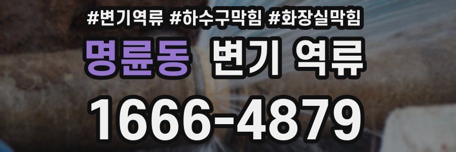 명륜동 변기 역류