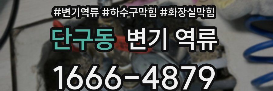 단구동 변기 역류