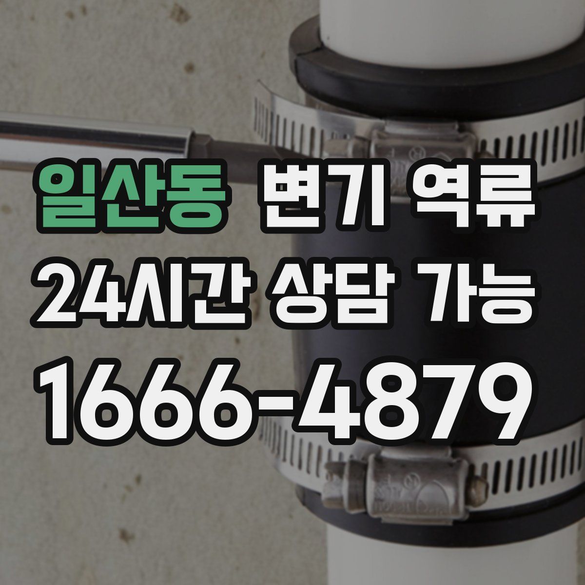 일산동 변기 역류