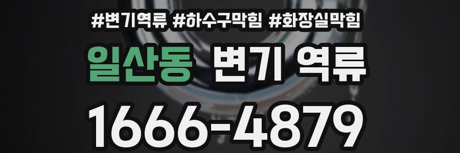 일산동 변기 역류