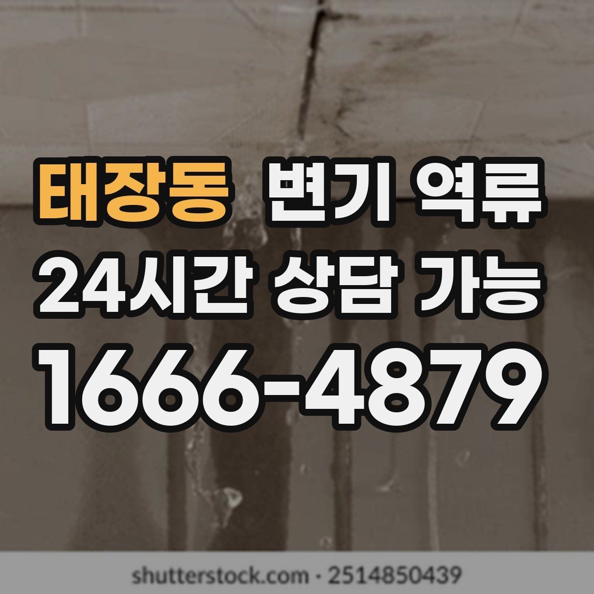 태장동 변기 역류 후 곰팡이·습기 문제가 커지는 이유