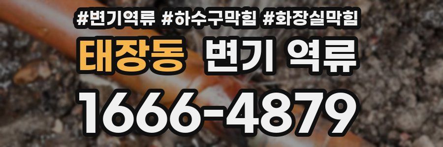 태장동 변기 역류