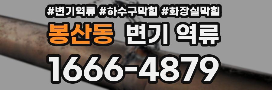 봉산동 변기 역류