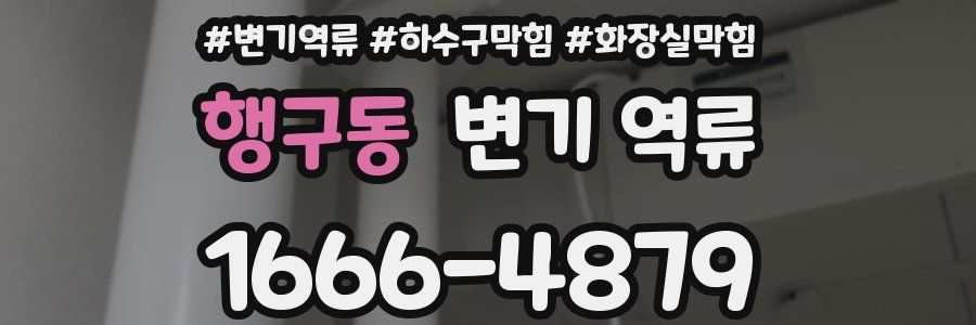 행구동 변기 역류