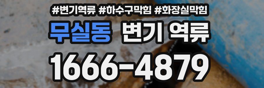 무실동 변기 역류