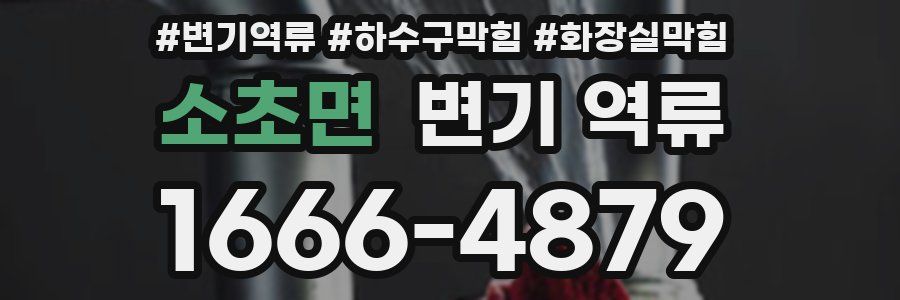 소초면 변기 역류