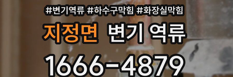 지정면 변기 역류