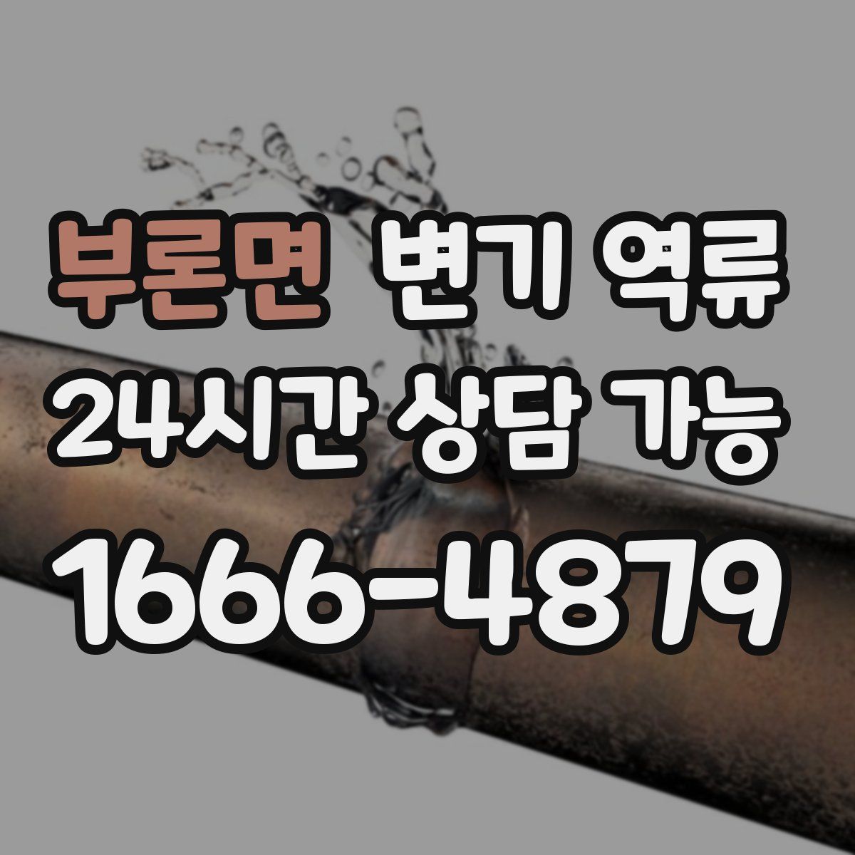 부론면 변기 역류