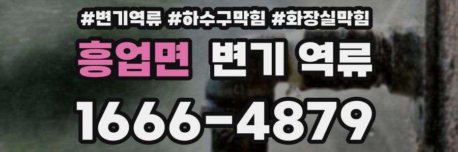 흥업면 변기 역류