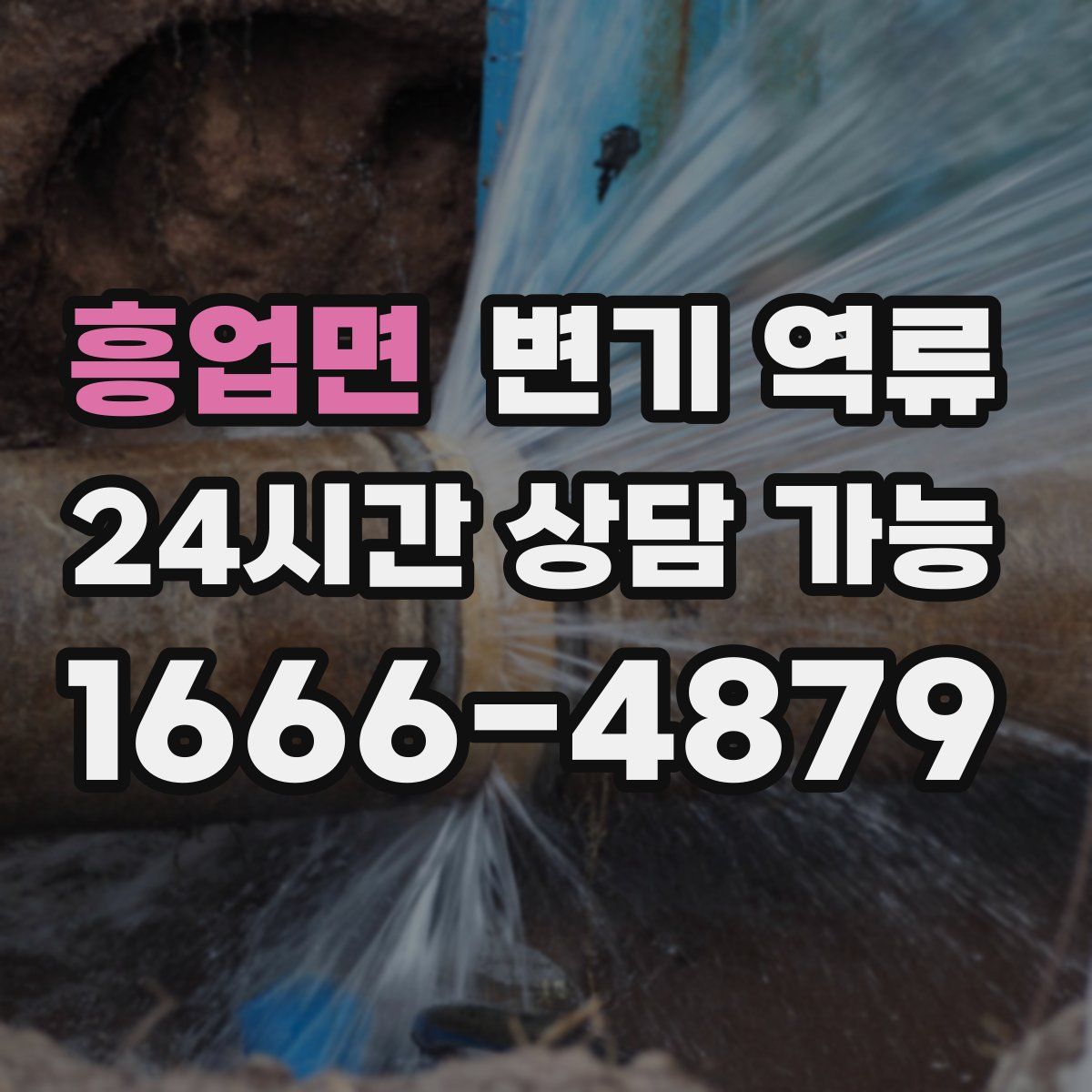 흥업면 변기 역류