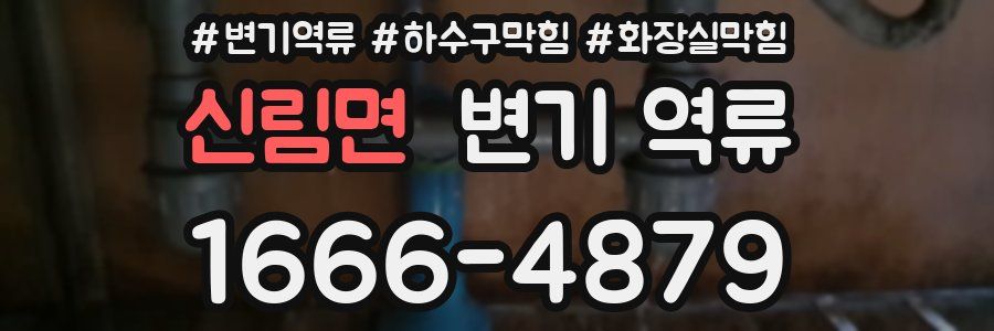 신림면 변기 역류