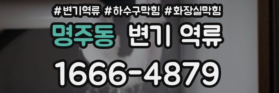 명주동 변기 역류