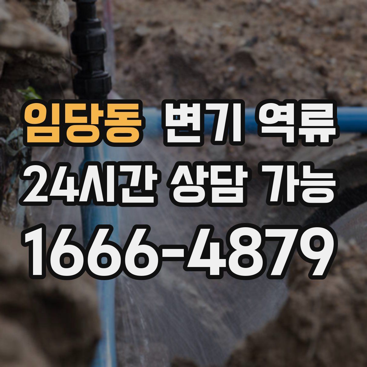 임당동 변기 역류