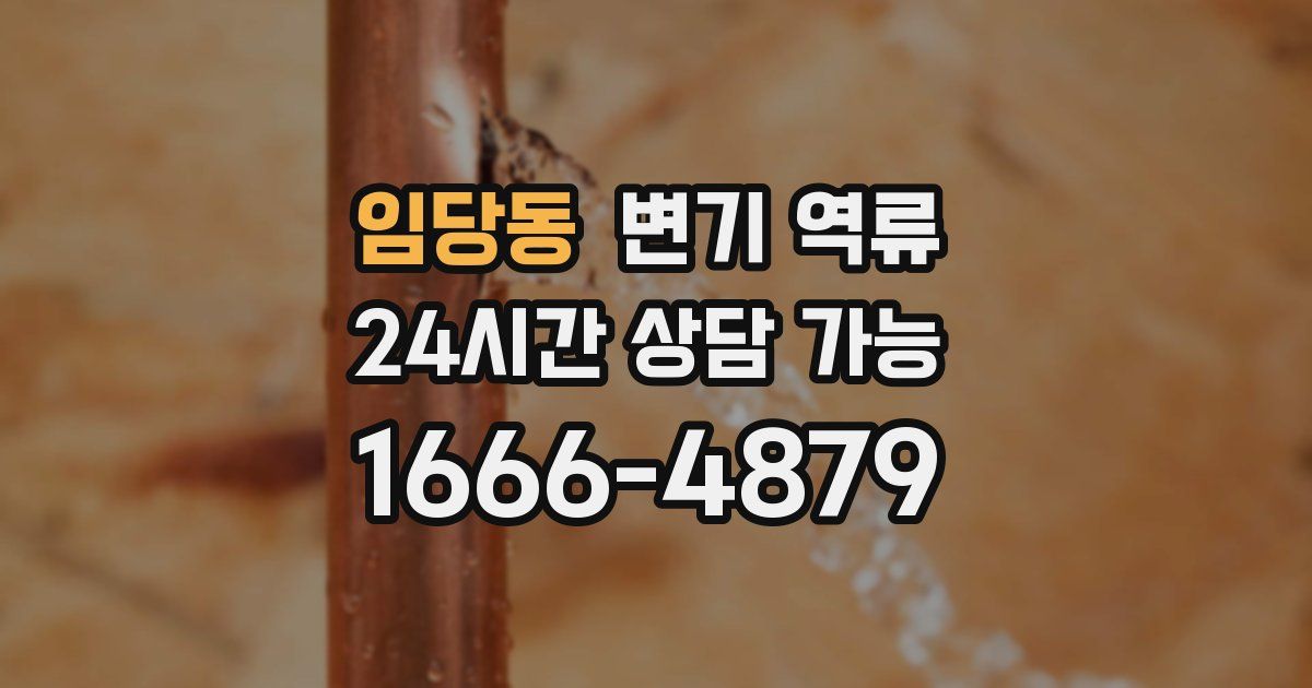 임당동 변기 역류