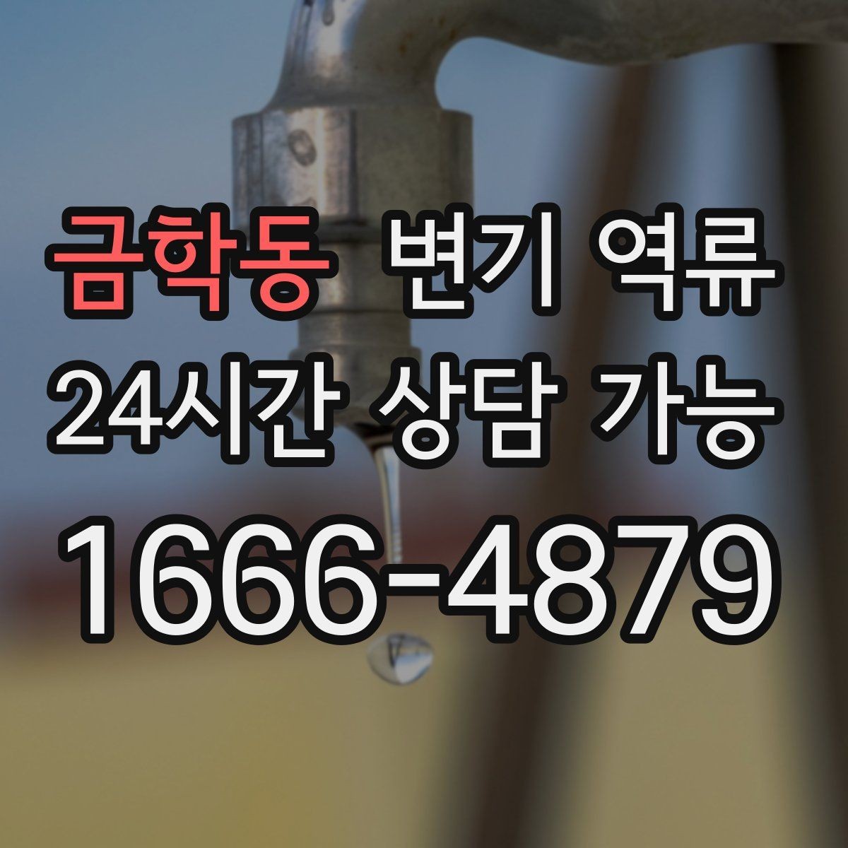 금학동 변기 역류 물이 내려가다 멈추면 어떤 단계일까