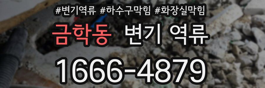 금학동 변기 역류