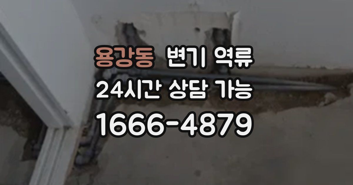 용강동 변기 역류