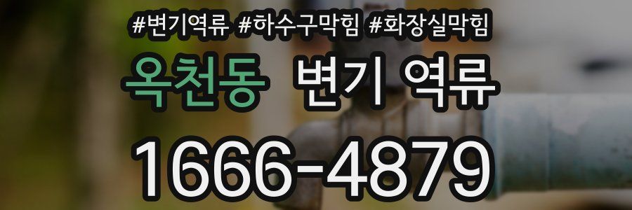 옥천동 변기 역류