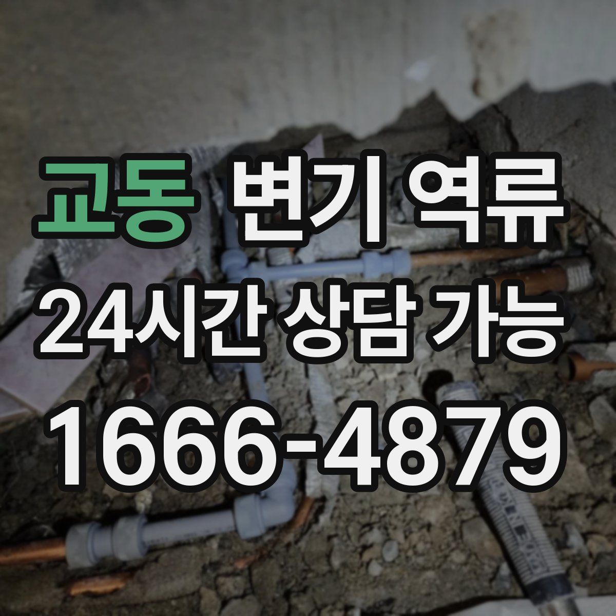 교동 변기 역류