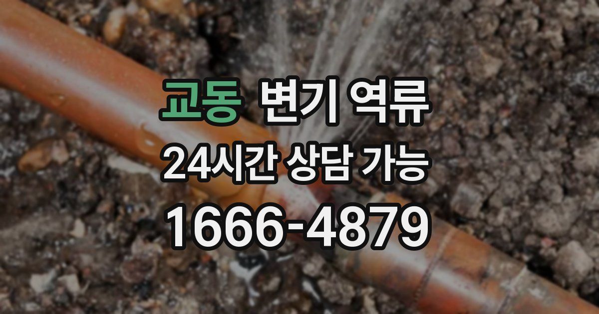 교동 변기 역류