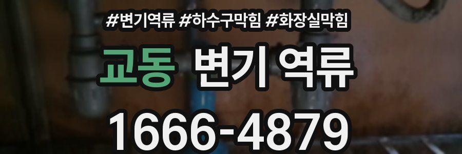 교동 변기 역류