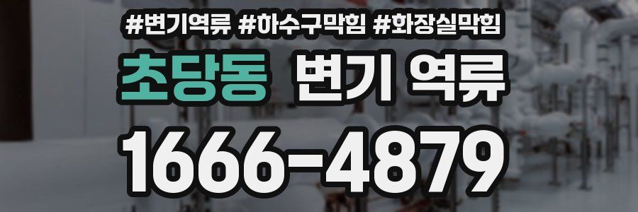 초당동 변기 역류