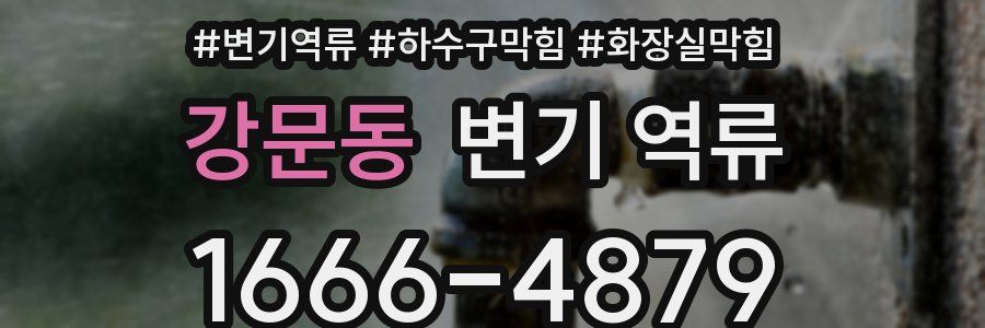 강문동 변기 역류