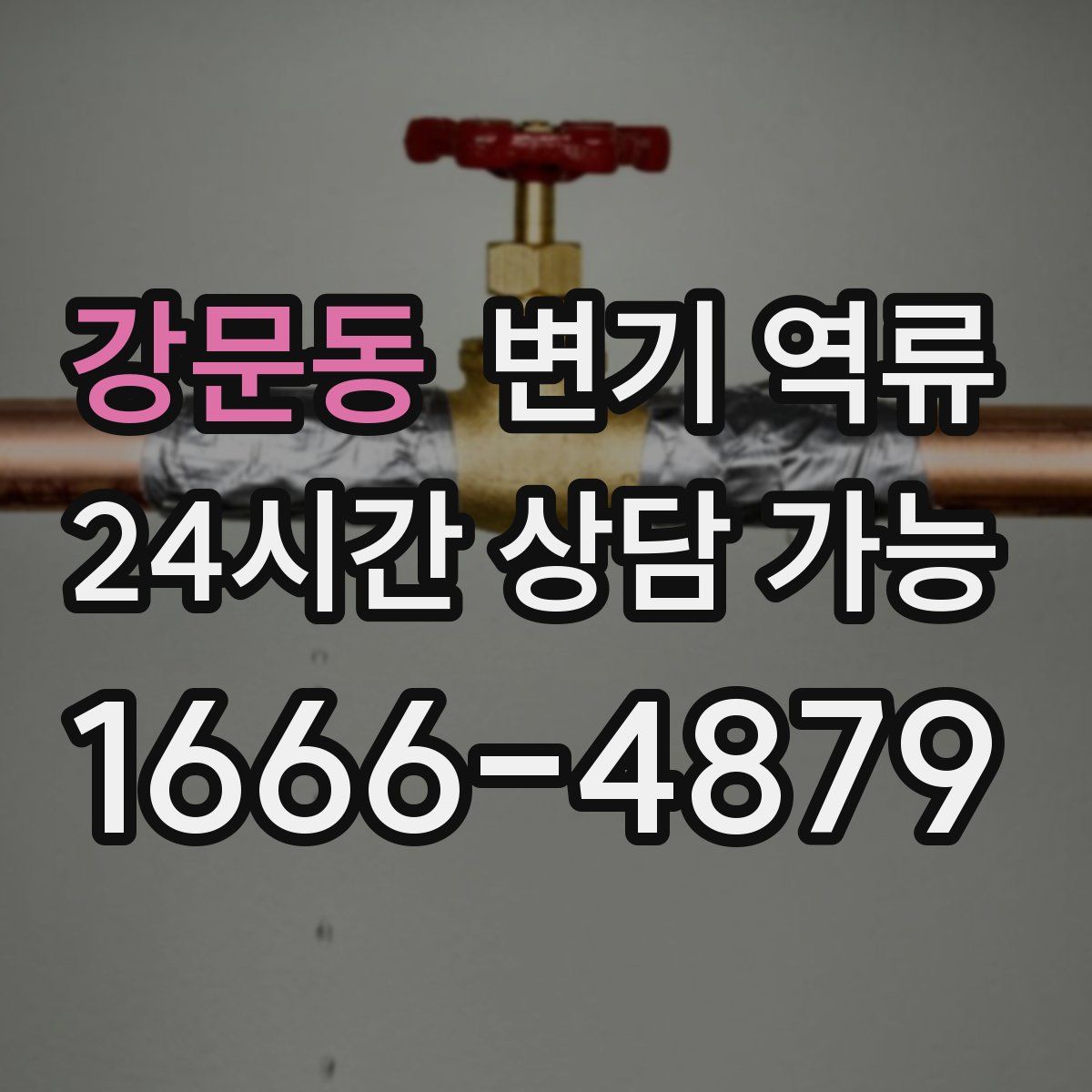 강문동 변기 역류