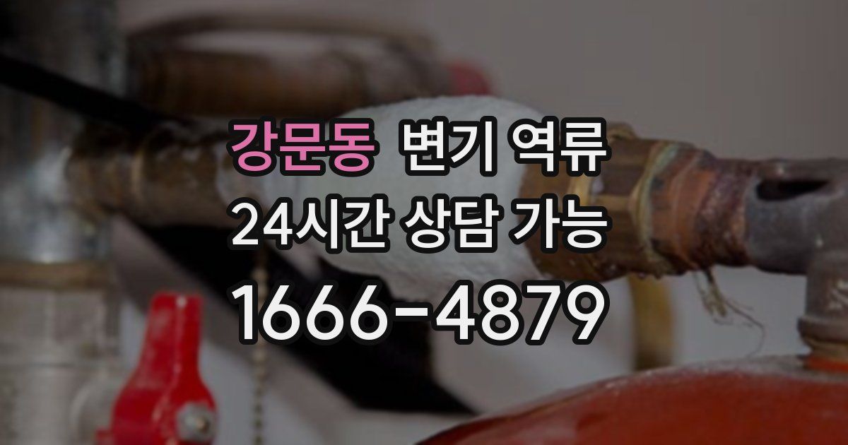 강문동 변기 역류