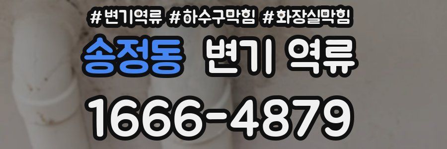 송정동 변기 역류