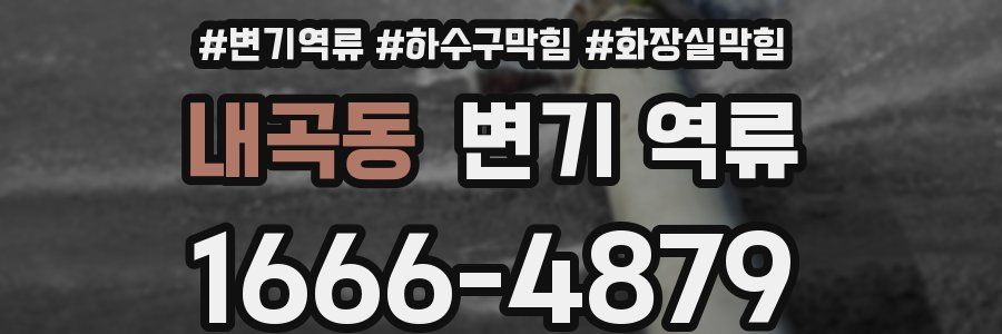 내곡동 변기 역류