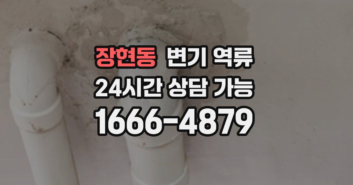 장현동 변기 역류