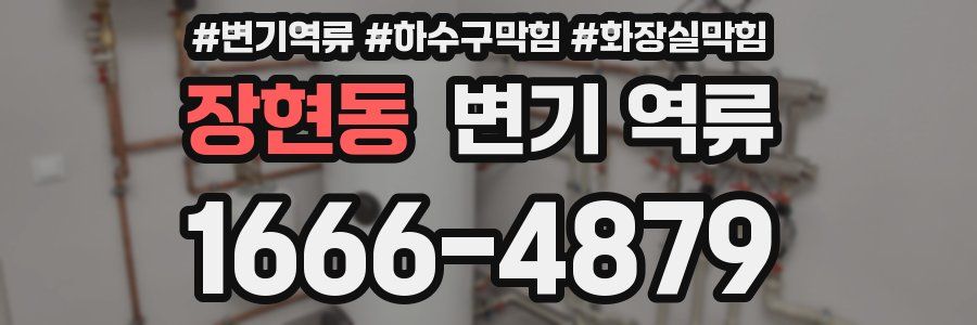 장현동 변기 역류