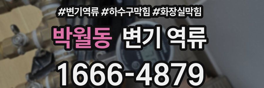 박월동 변기 역류