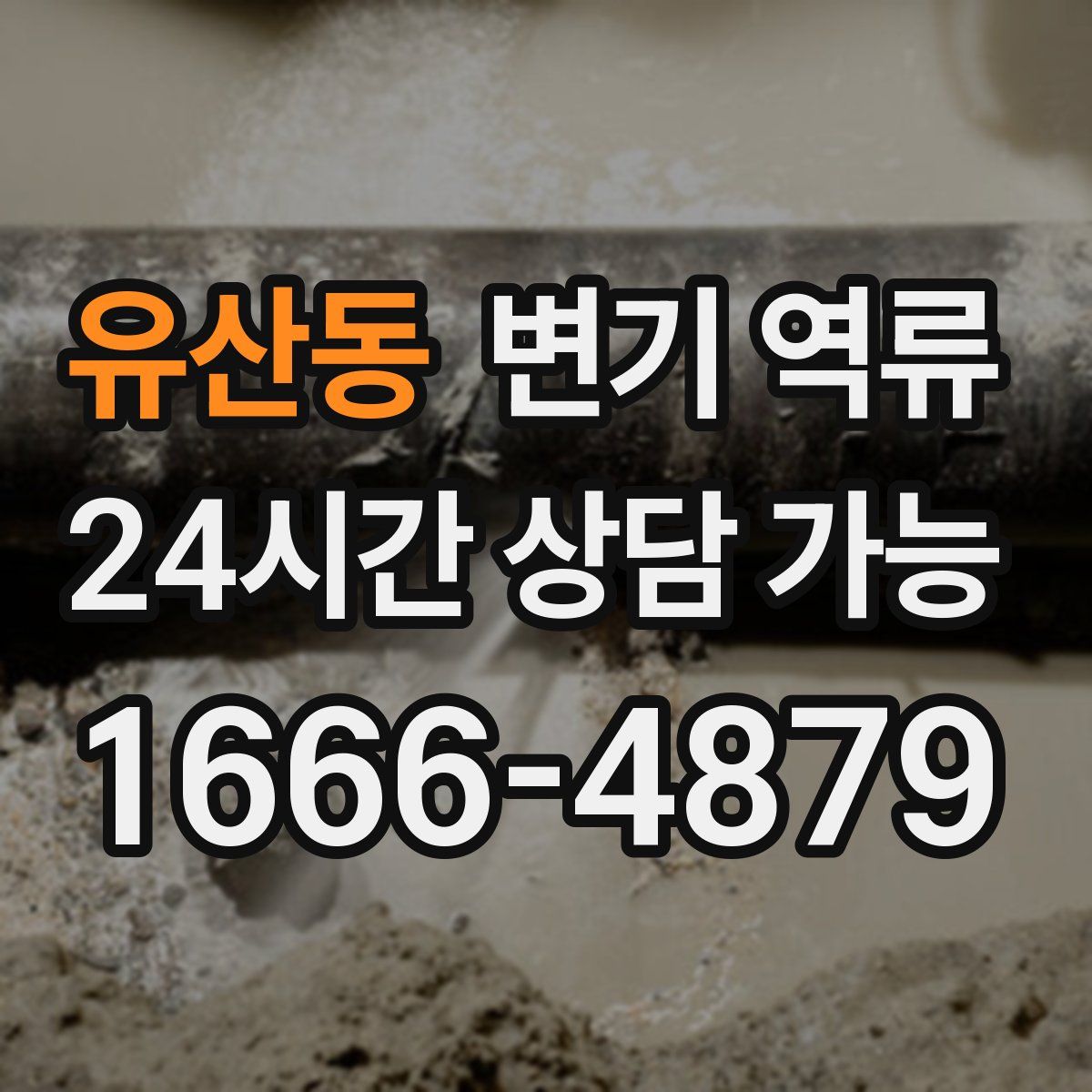 유산동 변기 역류